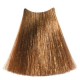 9.73 Имбирь 100 мл/Ingwer