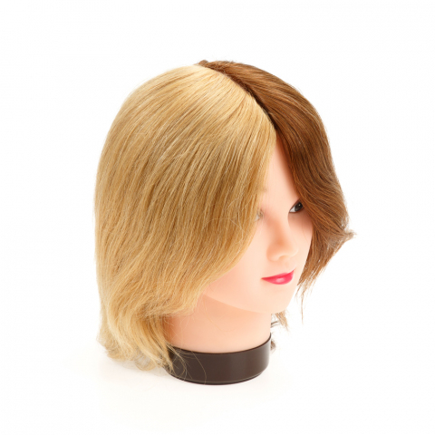 M-2049А Голова учебная 4 цвета, натуральные волосы, 20-25 см.