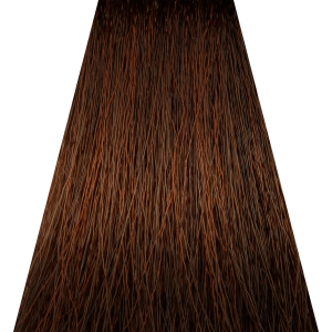 КОНЦЕПТ 4.0 Шатен 100 мл (s.t.)