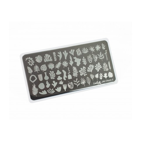 Lesly Пластина для стемпинга 6*12 см Art Chaos-2