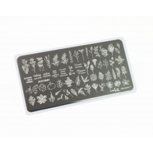 Lesly Пластина для стемпинга 6*12 см Autumn-1