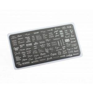 Lesly Пластина для стемпинга 6*12 см Figures-1