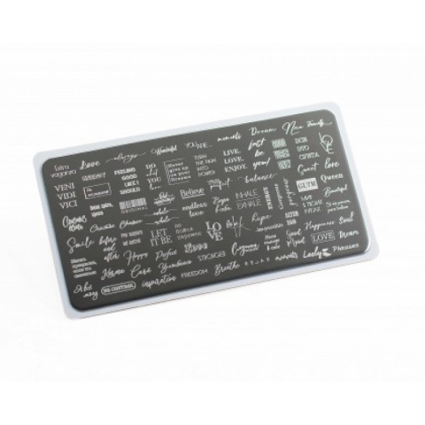 Lesly Пластина для стемпинга 6*12 см Figures-1