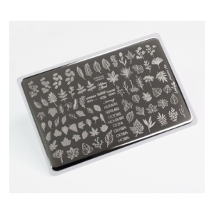 Lesly Пластина для стемпинга 8*12 см Autumn Air