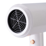 TNL Фен Professional Master Dry - белый, 1600 W