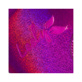 Lesly Органайзер для пластин Rose