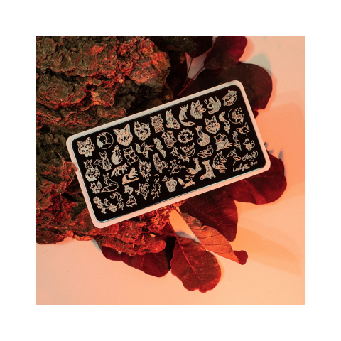 Lesly Пластины для стемпинга 6*12 см Fox