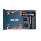 03-8010 RUS DEWAL Фен Pro Русские сказки, 2300 Вт, 2 насадки