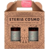 Набор парфюмированный Фрезия сирень и драгоценное дерево (Гель для душа 300 мл. + Мыло для рук 300 мл.)