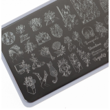 Lesly Пластины для стемпинга 6*12 см Flowers