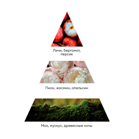 9974 RuNail Парфюмированный диффузор (Мускус, пион, личи), 100 мл.