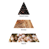 9975 RuNail Парфюмированный диффузор (Перец, амбра, нероли), 100 мл.