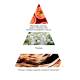 9976 RuNail Парфюмированный диффузор (Маракуйя, персик, сандал), 100 мл.